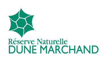 Dune Marchand Réserves Naturelles de France