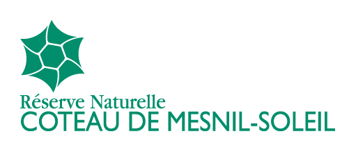 Coteau de Mesnil-Soleil Réserves Naturelles de France