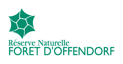 Forêt d'Offendorf Réserves Naturelles de France