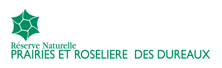 Prairies et roselière des Dureaux Réserves Naturelles de France