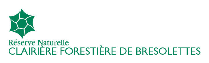 Clairière forestière de Bresolettes Réserves Naturelles de France