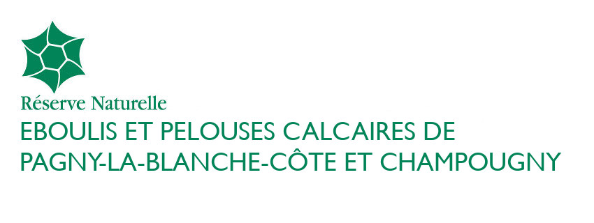 Eboulis et pelouses calcaires de Pagny-la-Blanche-Côte et Champougny Réserves Naturelles de France