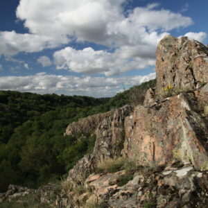 Paysage_RNR Vallée du Pressoir ©Mathieu BOULLANT
