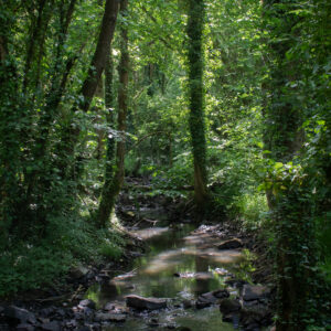 Ruisseau_du_Pressoir_RNR Vallée du Pressoir ©Axel MARTIN
