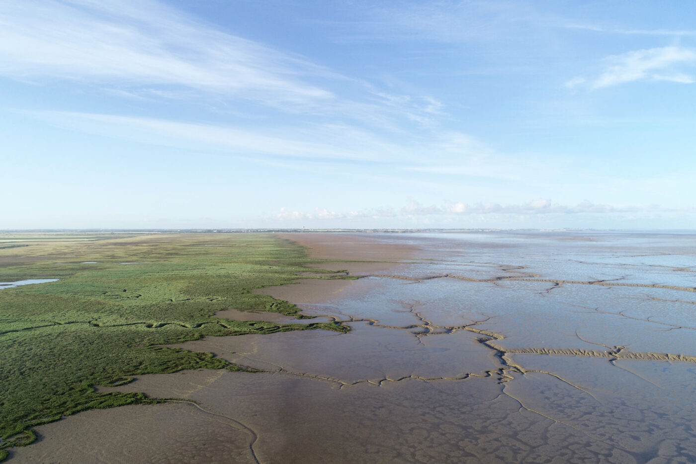 Vue aérienne de la baie de l’Aiguillon © Régis Gallais